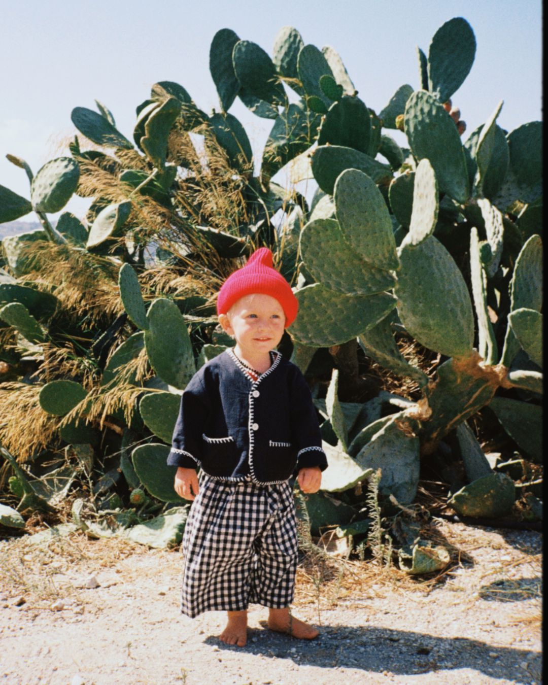 little fox cropped jacket | navy