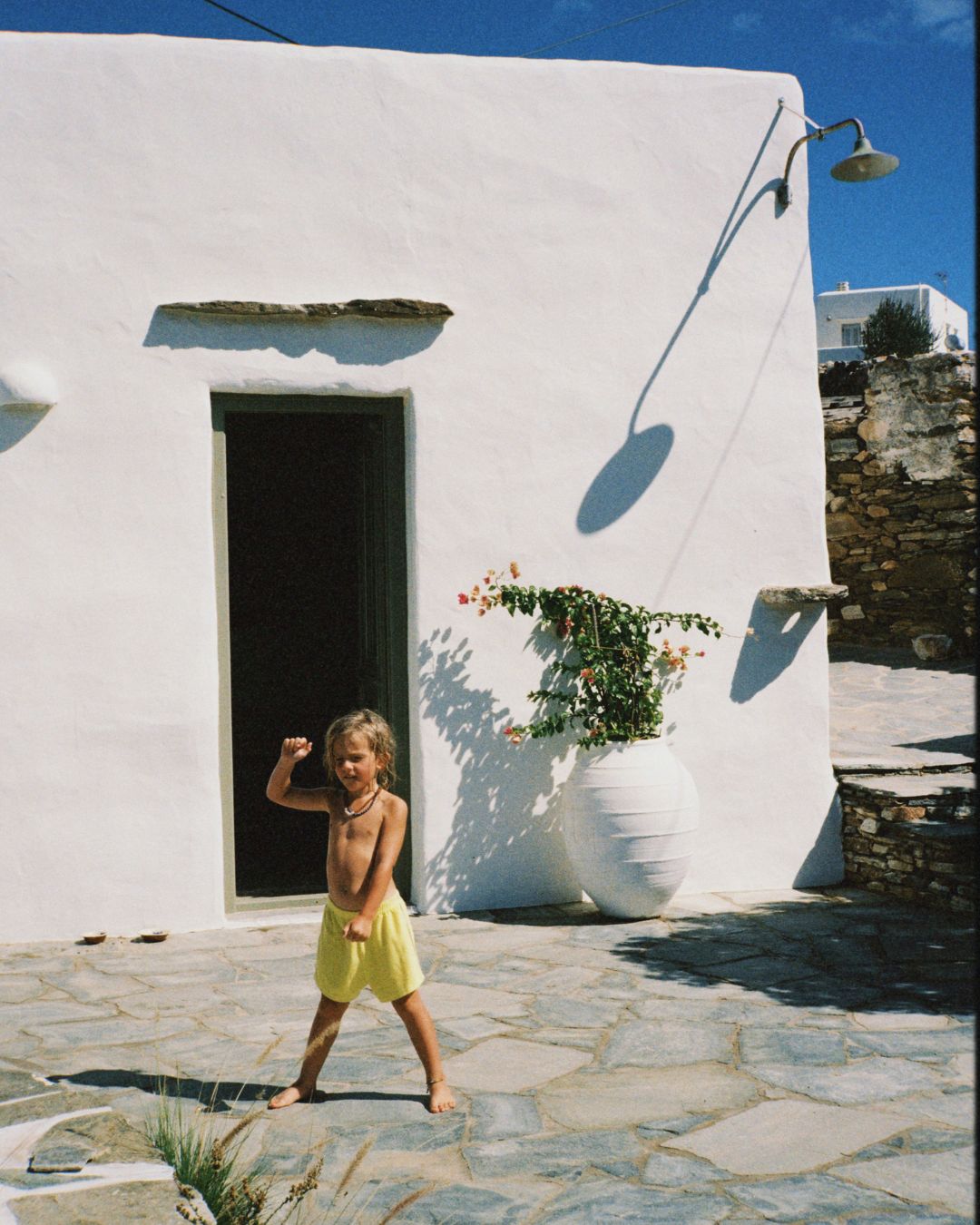 zippy terry short | sunny