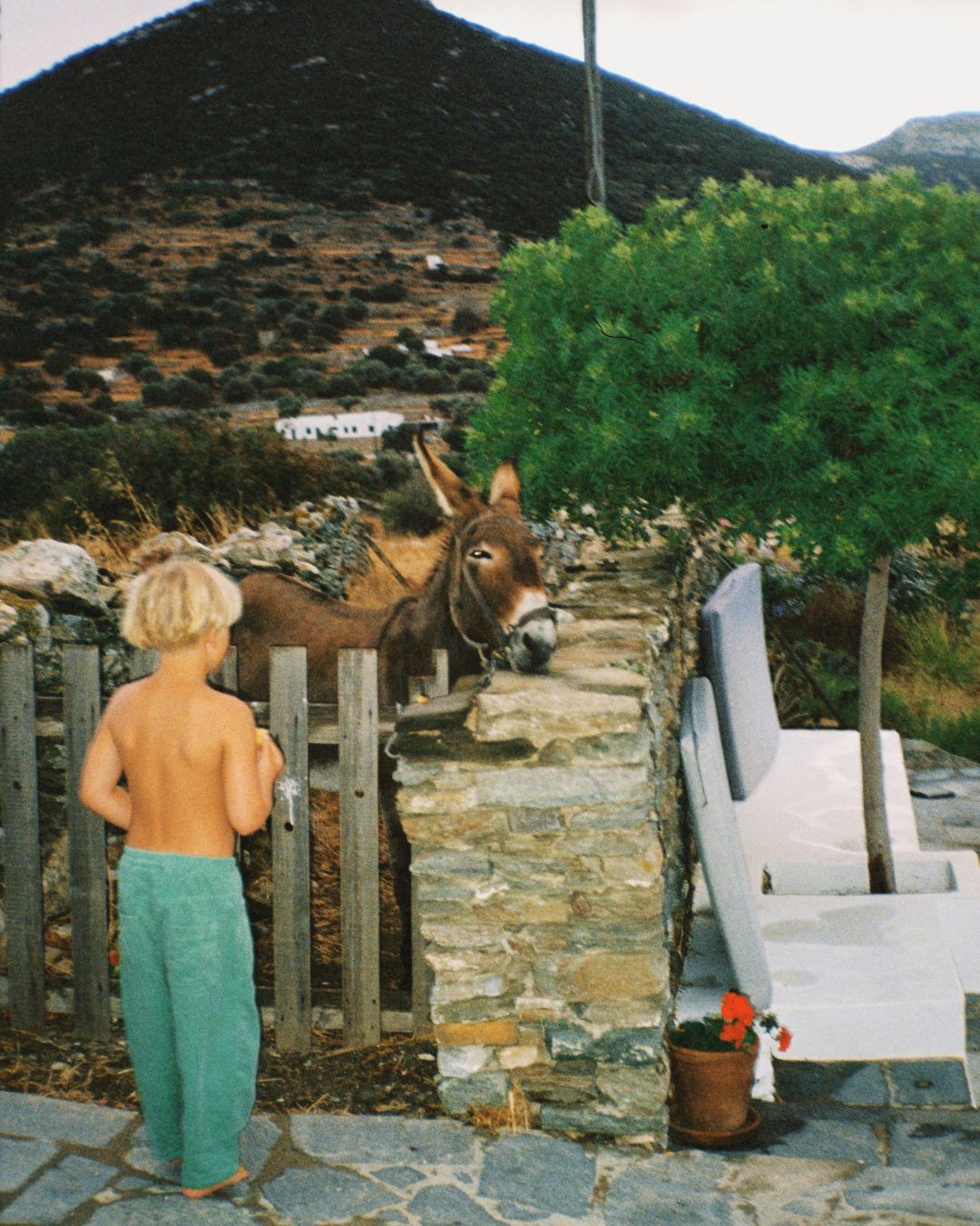 suki denim jean | verde