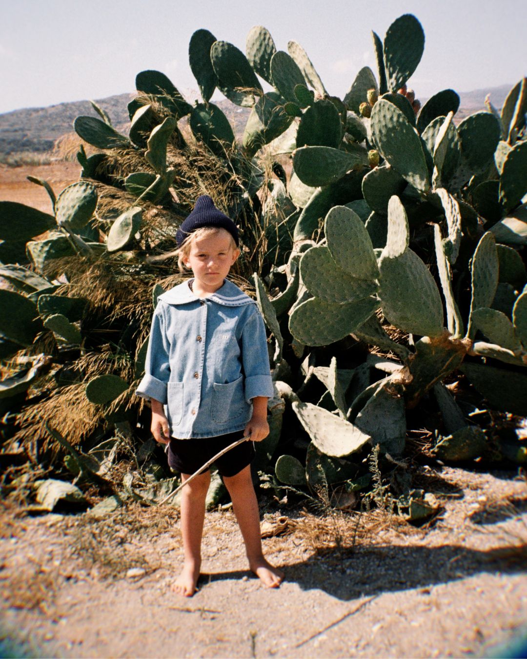 zippy terry short | midnight