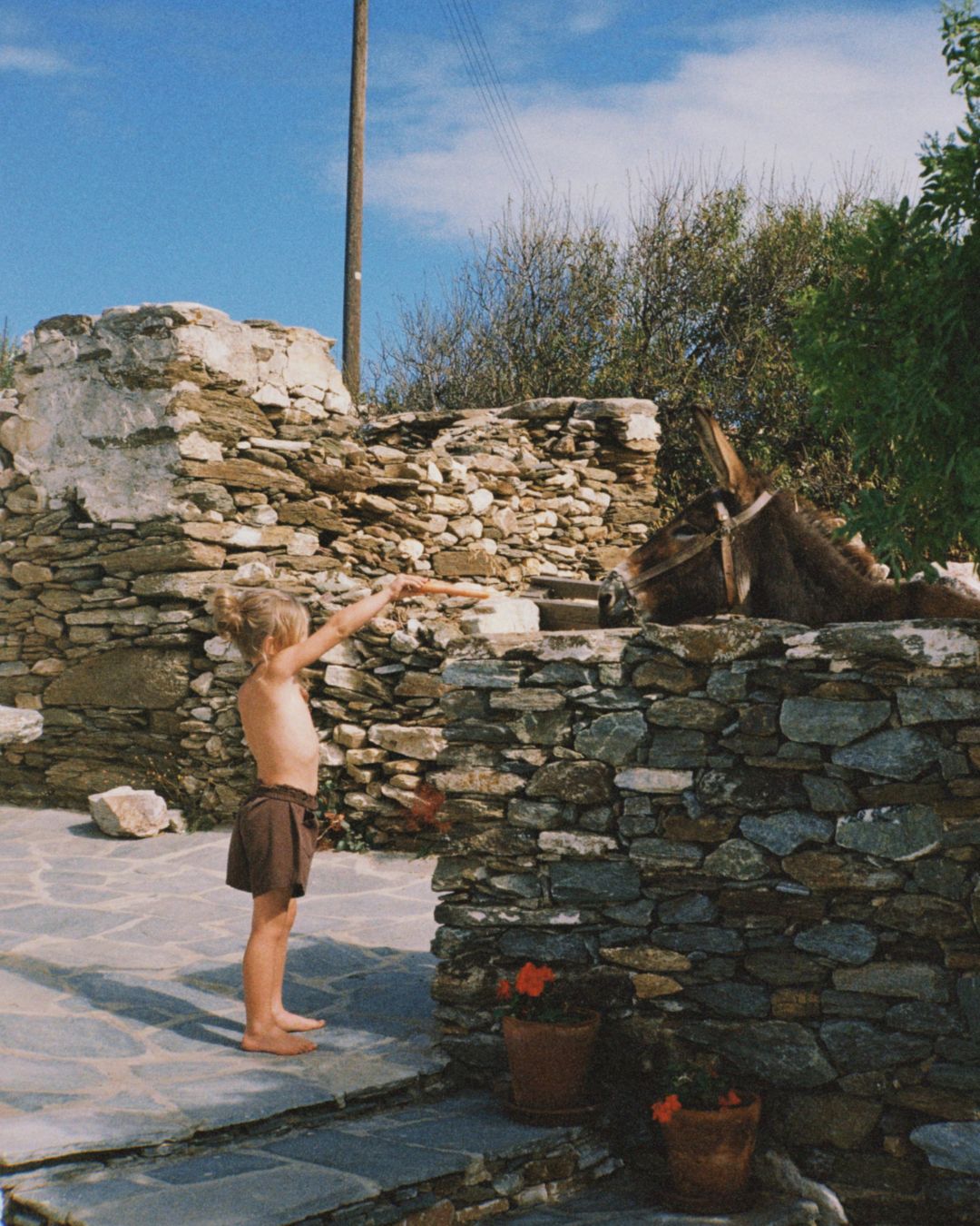 pippi short | chocolate