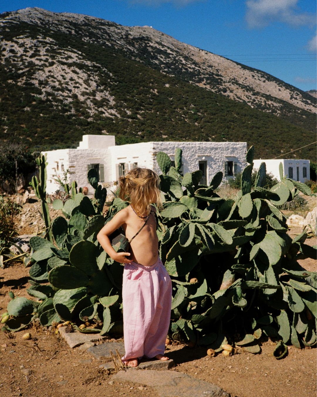 everyday scout hat | camo