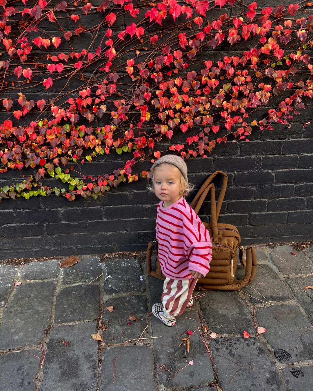 row row pullover | rose stripe