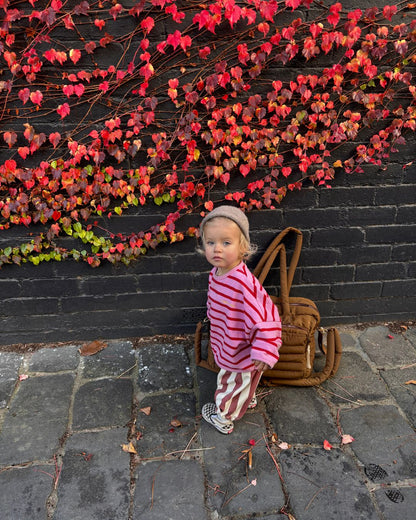 row row pullover | rose stripe