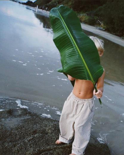 casper pant | beige stripe